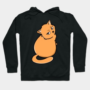 Orange Cat Hoodie